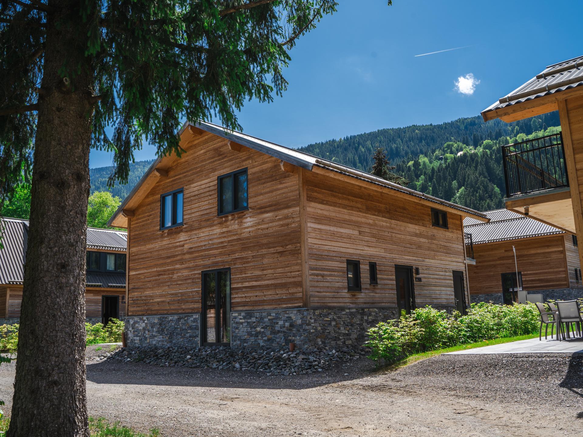 Chalet & terrace 4